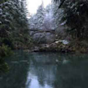 Meet your Posher, Adrianne